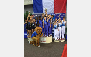 Champions de France 2018 - FFG Fédéral A 10-13ans